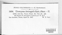 Image Associated With the Occurence